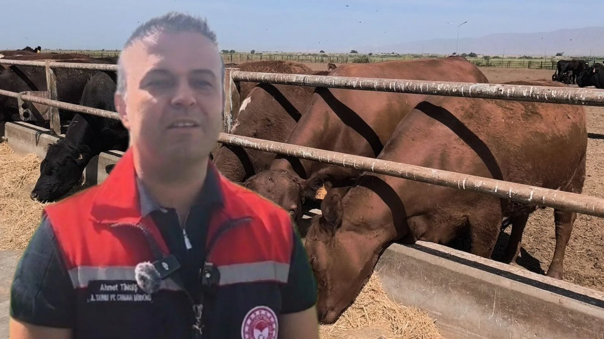 (IĞDIR) Kırsalda Bereket Hayvancılığa Destek Projesi Iğdır’da Devam Ediyor