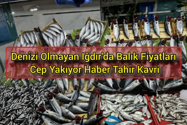 Denizi Olmayan Iğdır’da Balık Fiyatları Cep Yakıyor