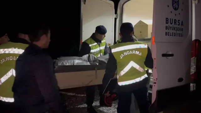 İznik'te Şoke Eden Cinayet: 18 Yaşındaki Gencin Yanmış Cesedi Bulundu, Arkadaşı Gözaltında