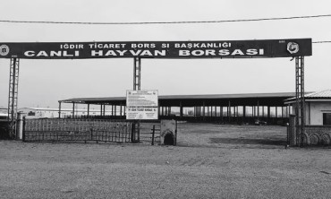 Iğdır Hayvan pazarları kapatıldı