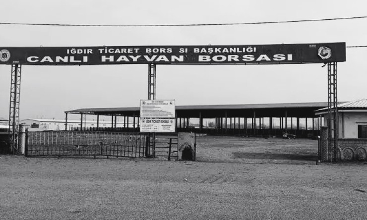 Iğdır Hayvan pazarları kapatıldı