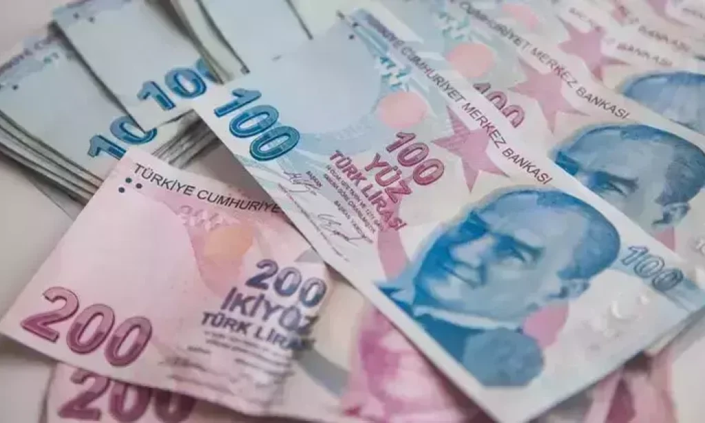 2024 Gelirlerine İlişkin Yıllık Gelir Vergisi Beyanname Dönemi Başladı