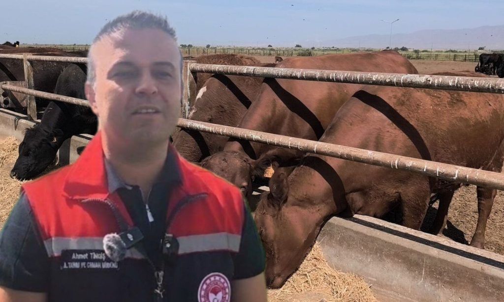 (IĞDIR) Kırsalda Bereket Hayvancılığa Destek Projesi Iğdır’da Devam Ediyor